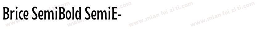 Brice SemiBold SemiE字体转换